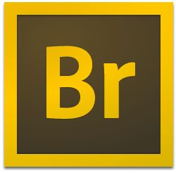 Adobe Bridge 2024 v14.0.2【Br2024破解版】图标
